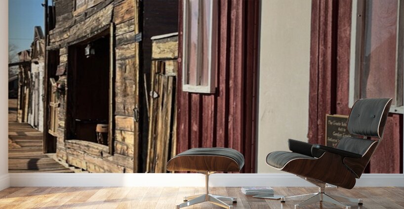 Chloride Arizona Wall Murals