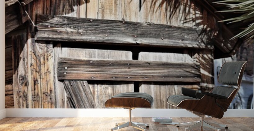 Outhouse -2 Wall Murals