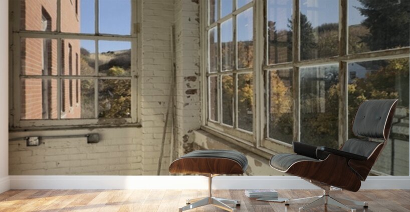 IMG 3402 Wall Murals