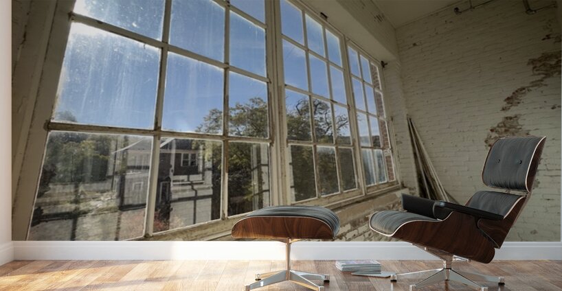 IMG 3403 Wall Murals