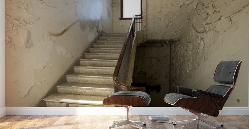 IMG 3400 Wall Murals