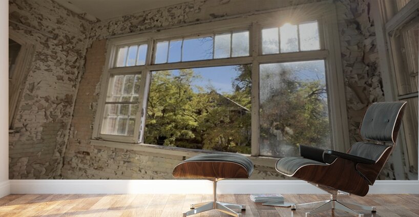 IMG 3399 Wall Murals