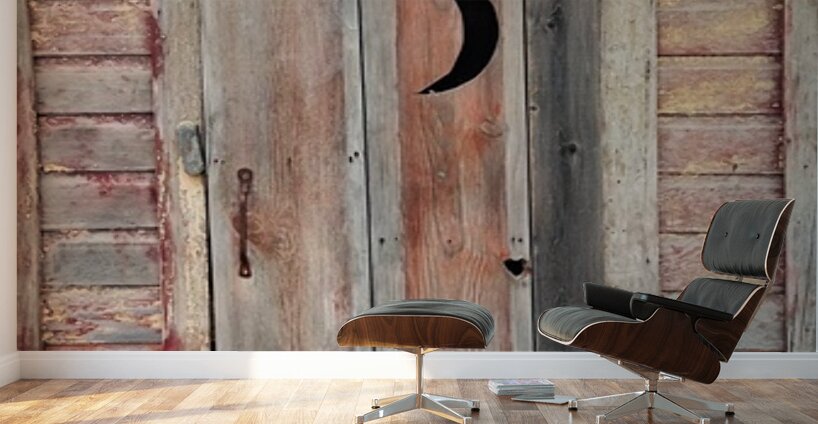 Outhouse -1 Wall Murals