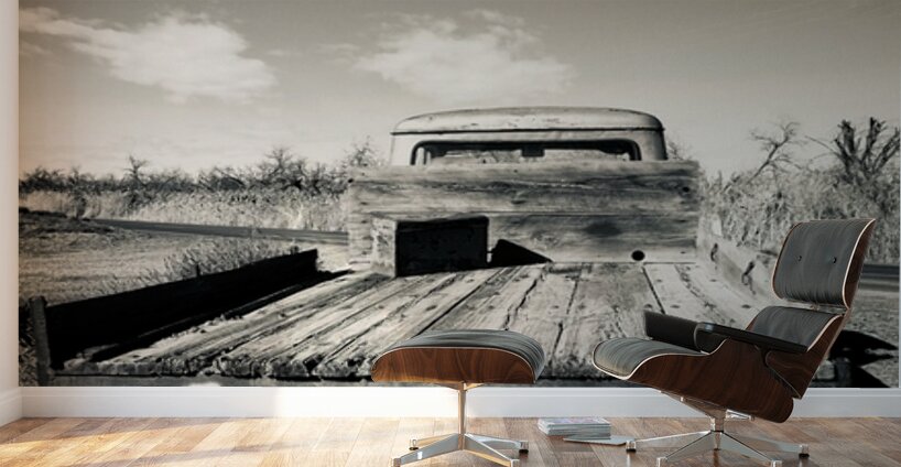 Rear View Wall Murals