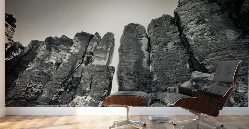 The Feathers Wall Murals