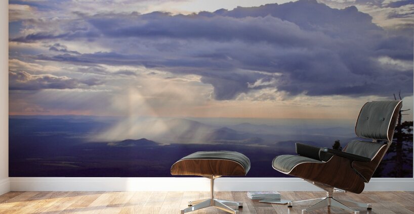 Monsoon Season -3 Wall Murals