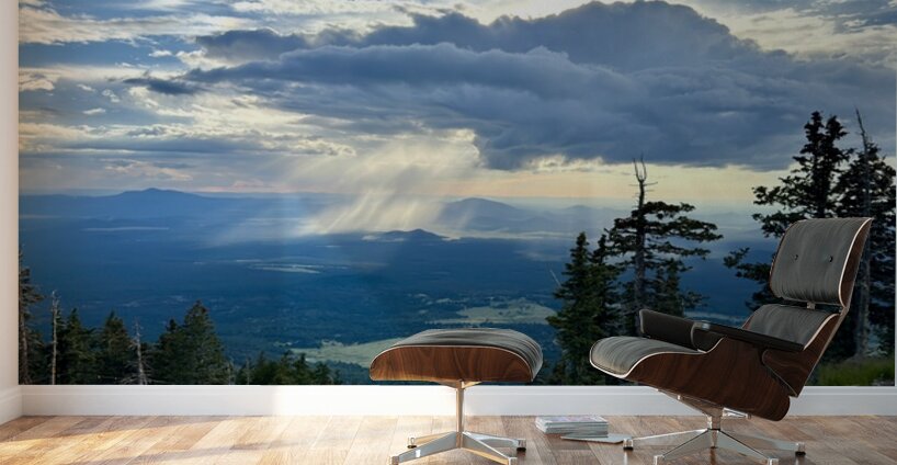 Monsoon Season -2 Wall Murals