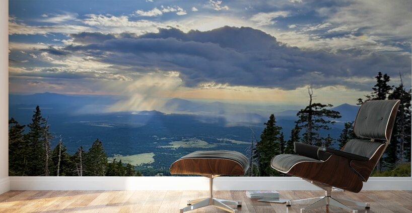 Monsoon Season -1 Wall Murals