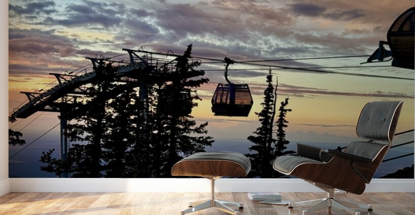 Gondola Ride to Sunset Wall Murals