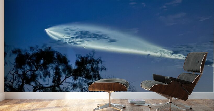 Space X Launch -1 Wall Murals