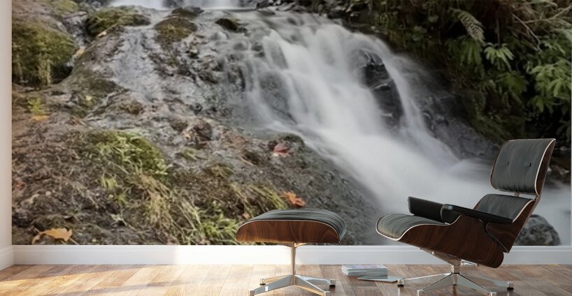 Oregon Waterfall Wall Murals