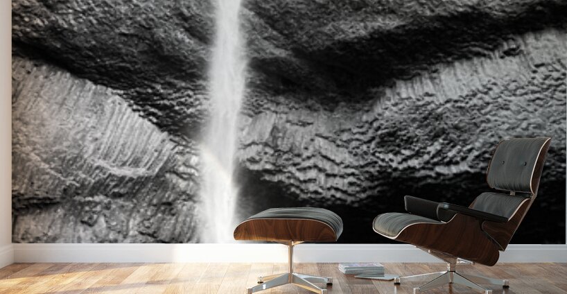 Latourell Falls B & W Wall Murals