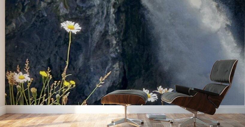 Snoqualmie falls through the Daiseys Wall Murals