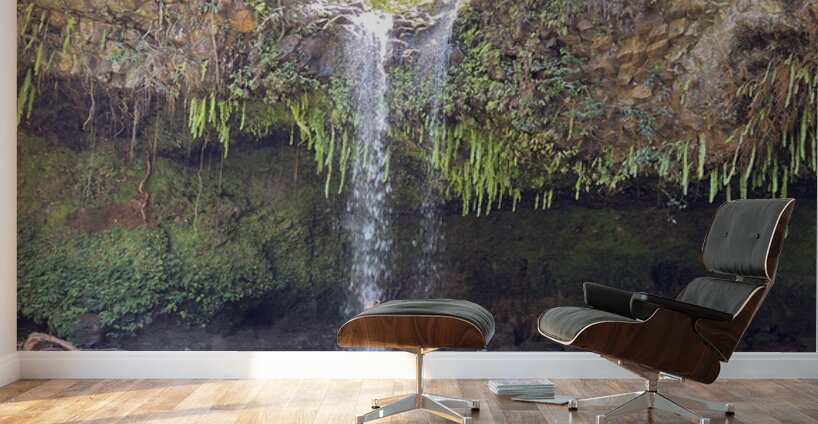 Upper falls Twin Falls Maui Hawaii Wall Murals