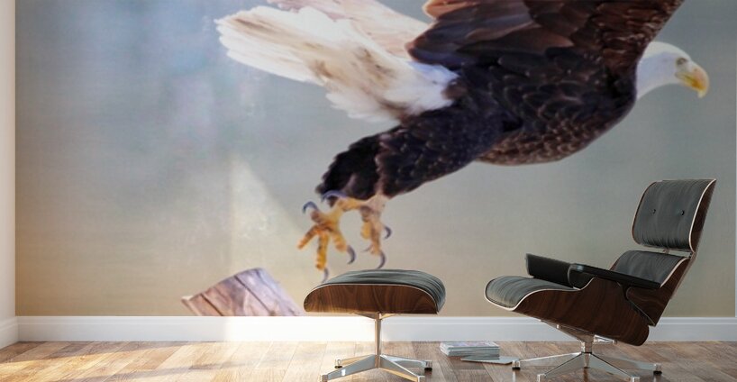 Take Flight Wall Murals