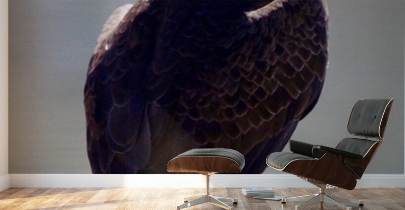 Majestic Wall Murals