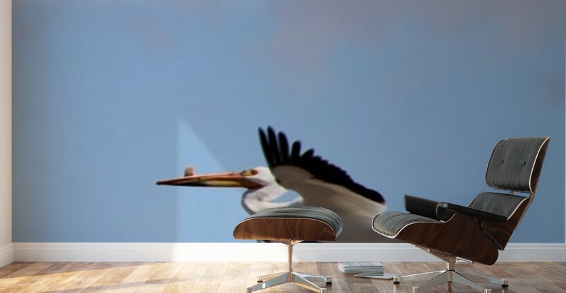 Pelican flight Wall Murals