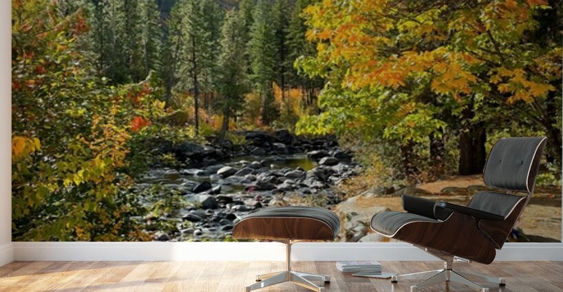 Autumn at Icicle River Wall Murals