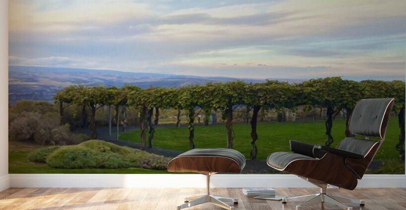 The piazza at Cave B Winery Wall Murals