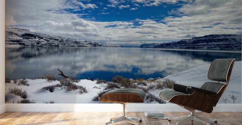 Winter Cove Wall Murals