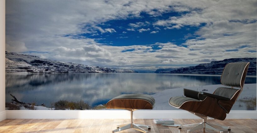 Snowy Cove Wall Murals