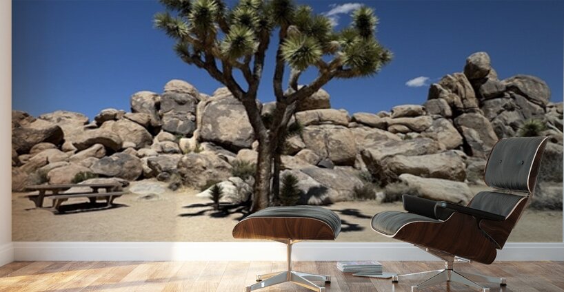 Joshua Tree -3 Wall Murals