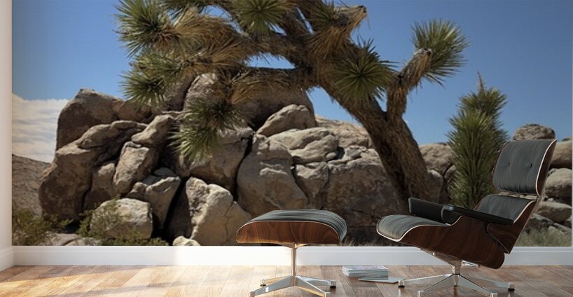 Joshua Tree -1 Wall Murals