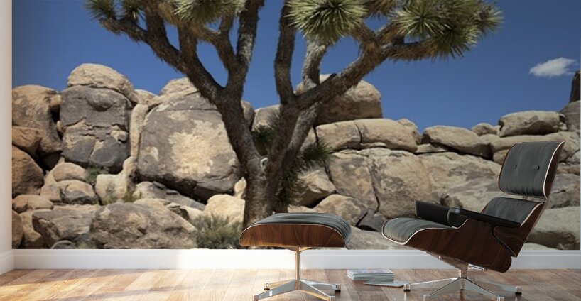 Joshua Tree -2 Wall Murals