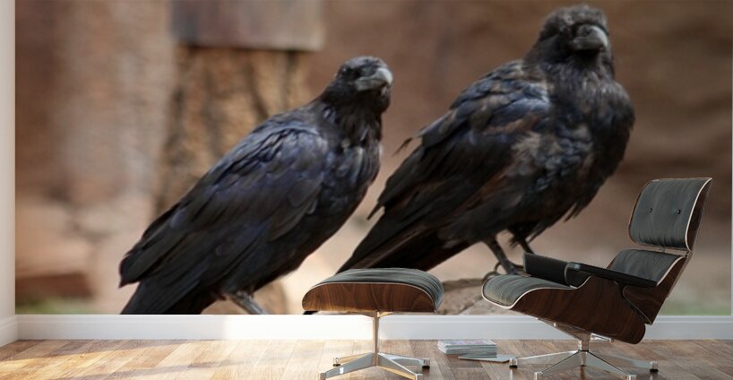 Ravens Wall Murals