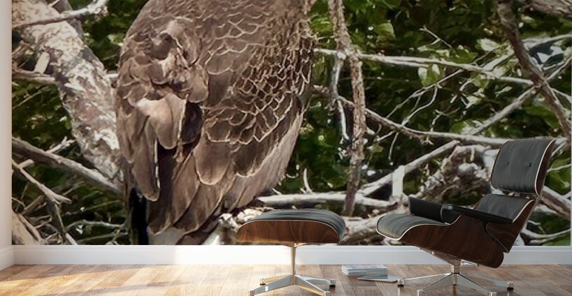 Bald Eagle in tree Wall Murals