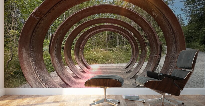 IMG 1694 Wall Murals