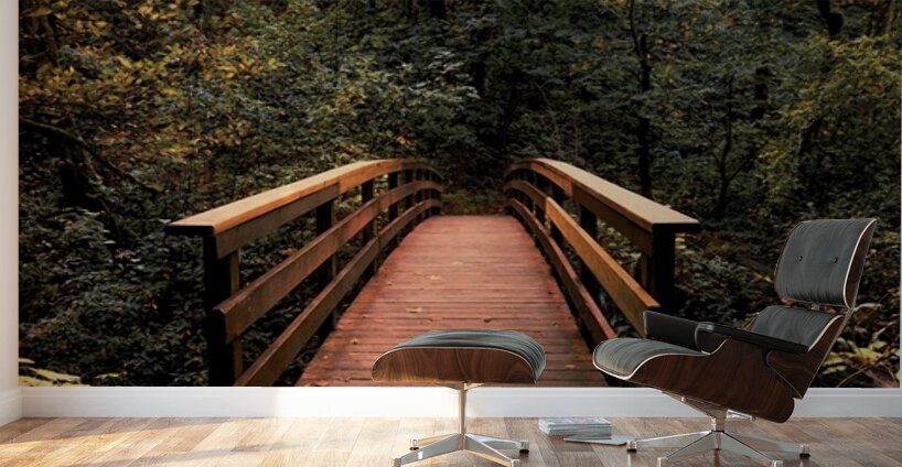 The path less traveled -vertical Wall Murals