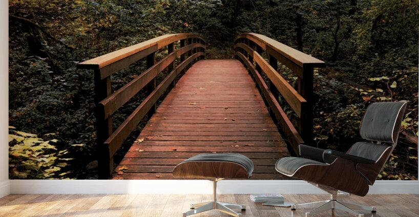 The path less traveled Wall Murals