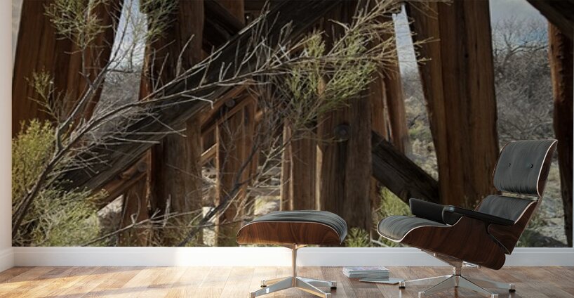 Under the Trestle Wall Murals