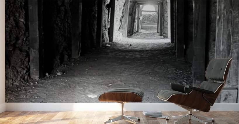 Old mine tunnel -Oatman AZ Wall Murals