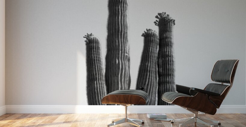 Saguaro Dream in black and white -1 Wall Murals