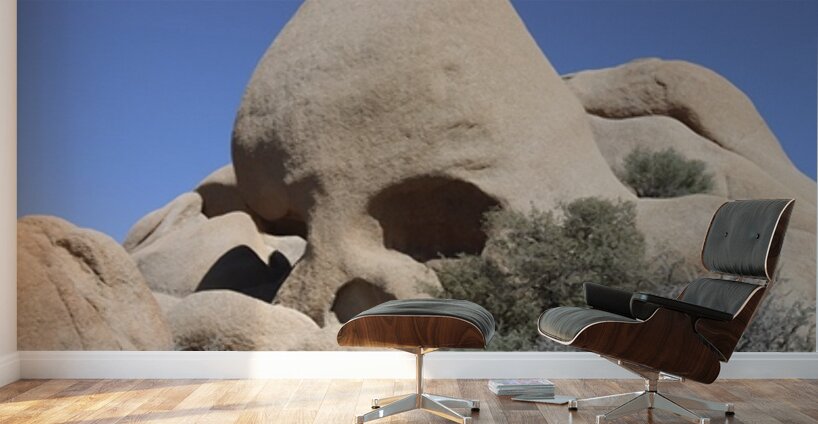 Skull Rock Joshua Tree National Park Wall Murals