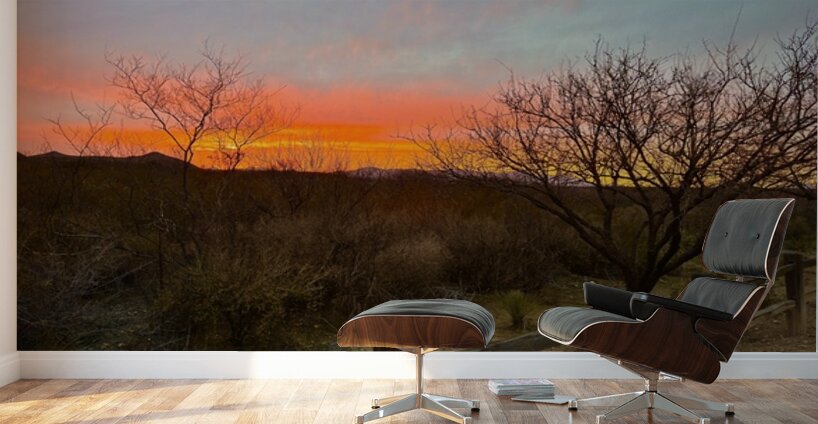 Sundown in Tombstone Wall Murals