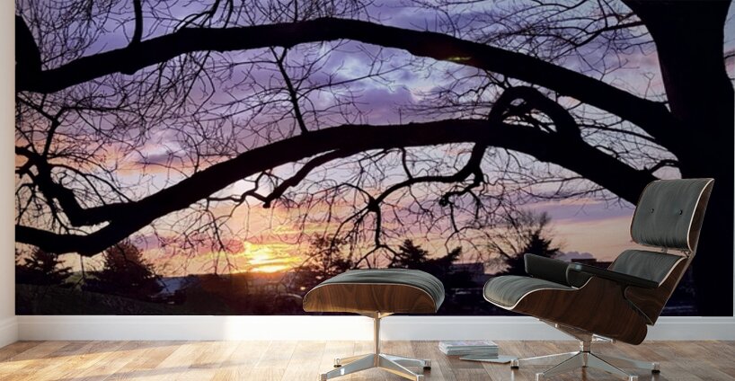 Purple and Orange Wall Murals