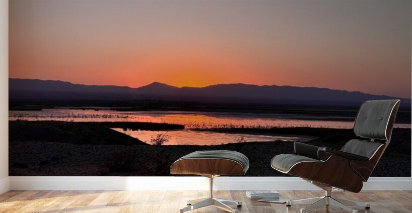 Sunset on the Marsh -2 Wall Murals