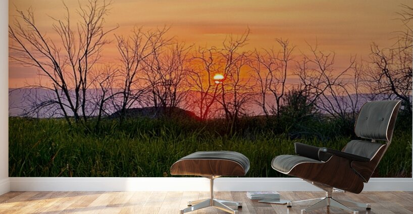 Sunset on Silica Road -2 Wall Murals