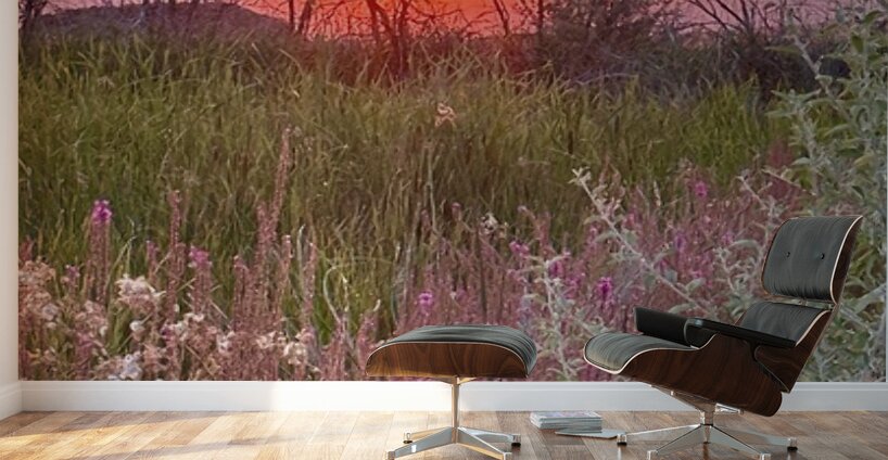 Sunset on Silica Road Wall Murals