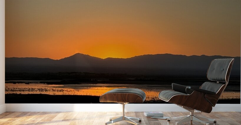 Sunset on the Marsh Wall Murals