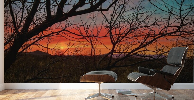 Colors of the Desert Wall Murals