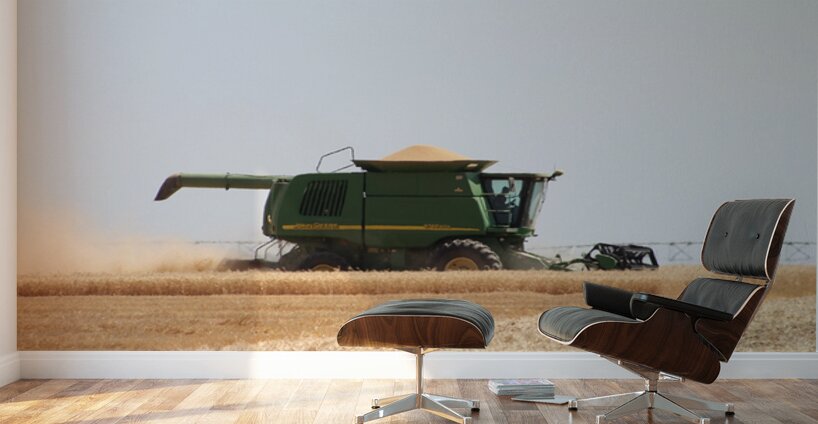 Wheat Harvest Wall Murals