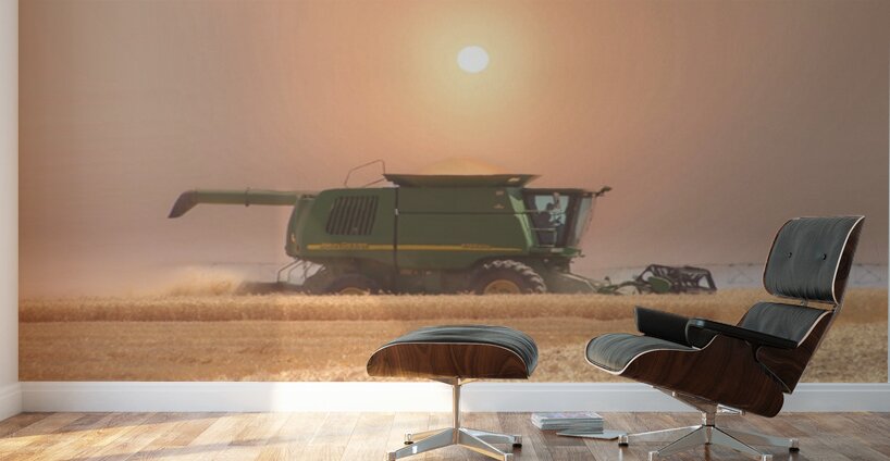 Wheat Havest Sundown Wall Murals