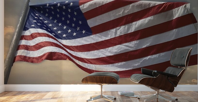 Flag Day Wall Murals