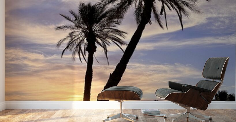 Sunset at Lake Havasu  Wall Murals