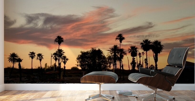 Havasu Sunset Wall Murals