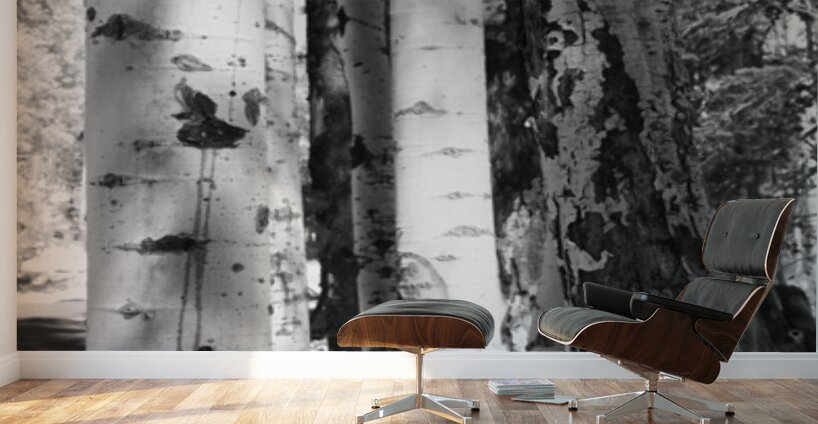 IMG 4696 Wall Murals